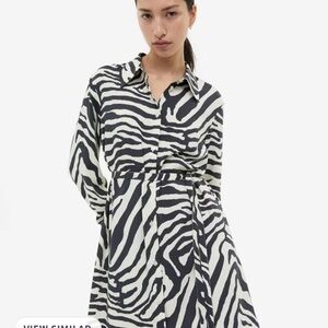 H&M Zebra Print Shirt Dress